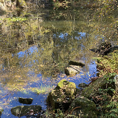 Quarry in Autumn