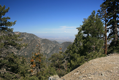 IMG 0888