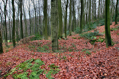 Eine Pinge der ehemaligen Zeche Alte Haase (Sprockhövel) / 24.12.2017