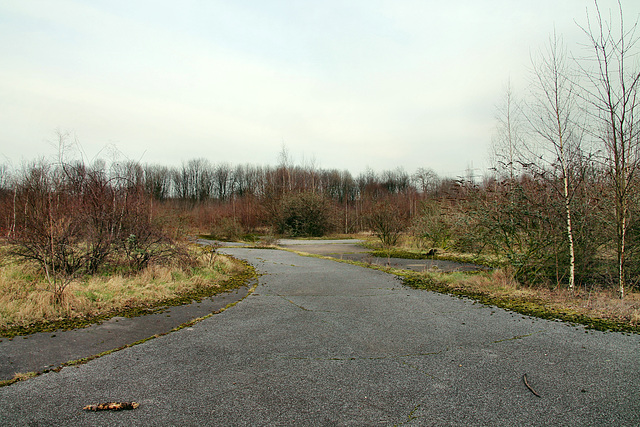 Zeche Friedrich Thyssen 2/5, ehemaliges Werksgelände (Duisburg-Marxloh) / 17.02.2018