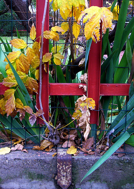 garden fence