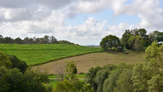 30/366 mowed meadow