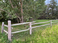 friday fence