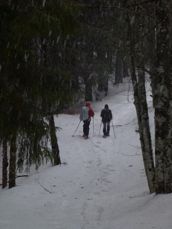 20150221 Raquettes Vercors Col de la Machine (13) al