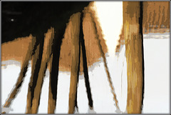 L'abstraction des reflets