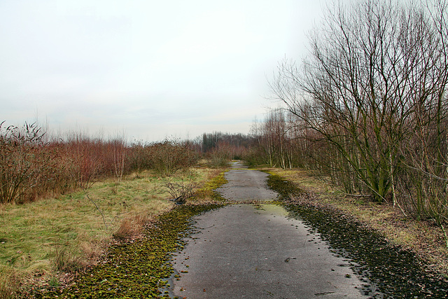 Zeche Friedrich Thyssen 2/5, ehemaliges Werksgelände (Duisburg-Marxloh) / 17.02.2018