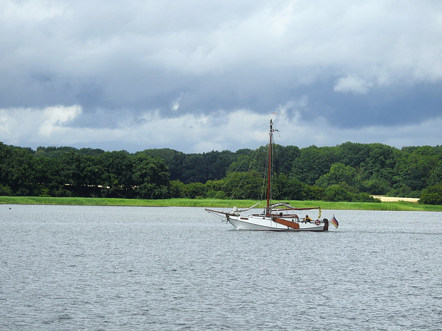 Segler auf dem Strelasund