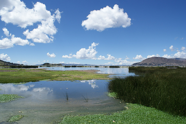 Shores Of Lake Titicaca