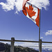 the flag of Canada ... die schönste Flagge der Welt!    (© Buelipix)