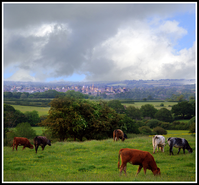 Oxford from Boar's Hill