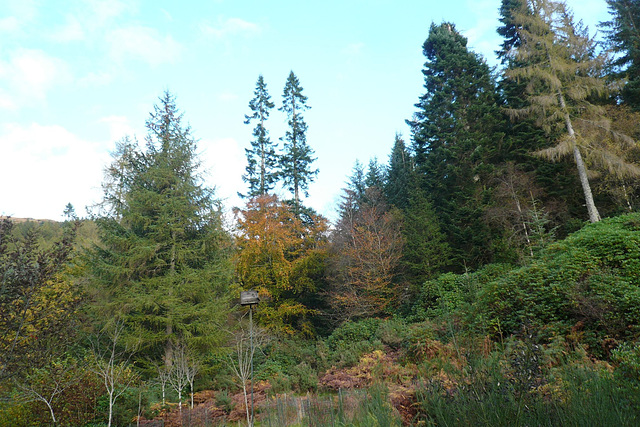 View From Donich Lodge