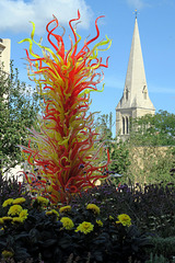 IMG 2722-001-Electric Yellow & Deep Coral Tower 1