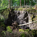 Auf dem Ernstberg in Hinterweiler in der Eifel