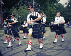 Pipers