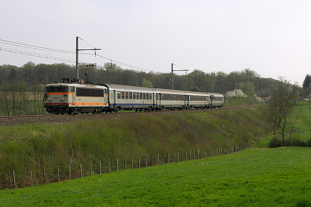 Le p'tit lyonnais en béton