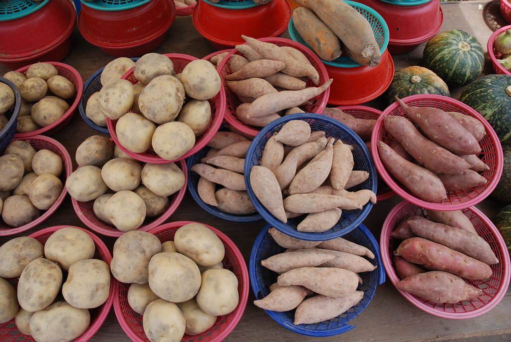 Unterwegs in Südkorea: Kartoffeln