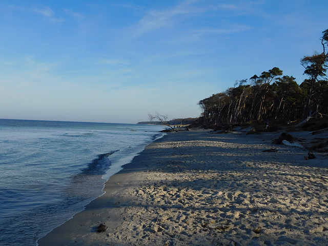 Strand zwischen Ahrenshoop und Darßer Ort