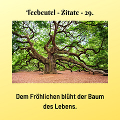 Teebeutel - Zitate - 29.