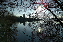 Late Autumn At Balmaha