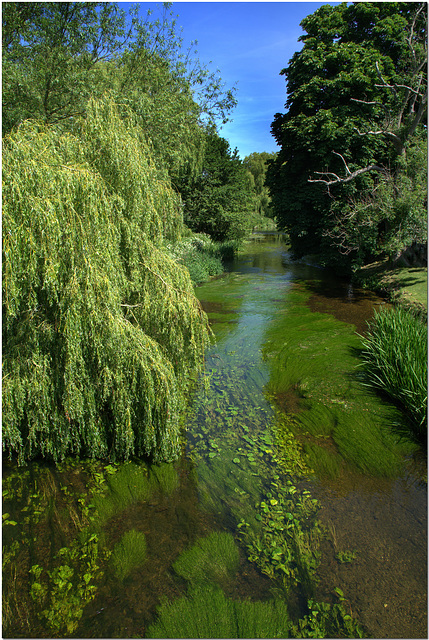 River Stour at Wye