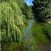 River Stour at Wye