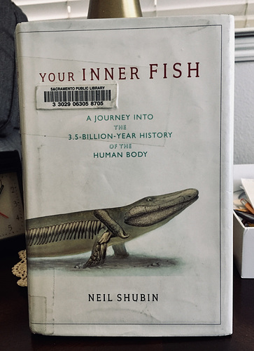 YOUR INNER FISH