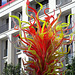 IMG 2725-001-Electric Yellow & Deep Coral Tower 2