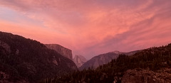 Half Dome View