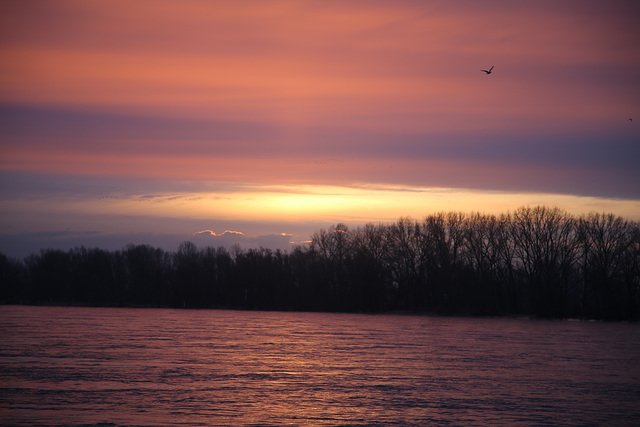 Sunrise Lower Rhine region