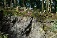 Auf dem Ernstberg in Hinterweiler in der Eifel