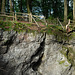 Auf dem Ernstberg in Hinterweiler in der Eifel