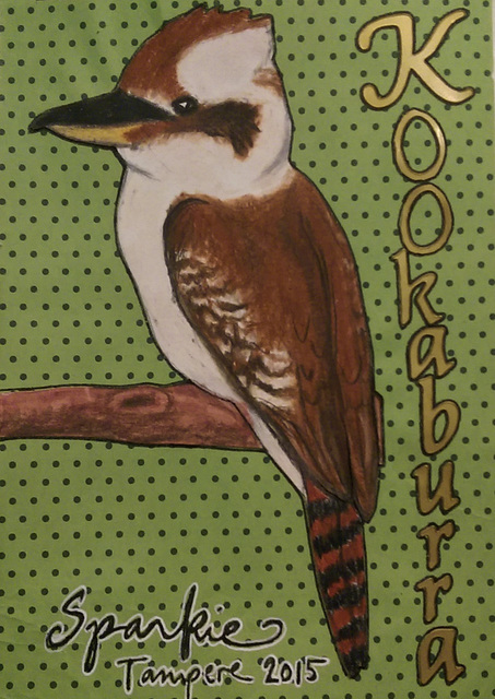 Kookaburra