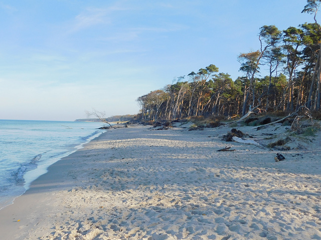 Strand zwischen Ahrenshoop und Darßer Ort