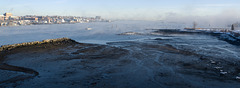 Portland skyline, low tide