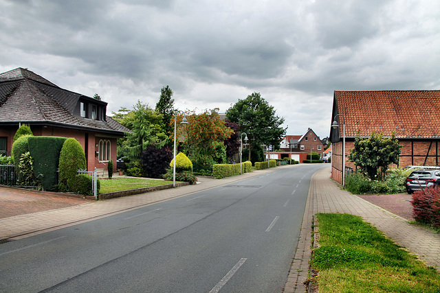 Reginenstraße (Hamm-Rhynern) / 6.07.2024