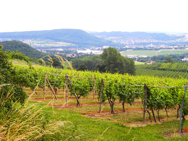 052 Blick auf Freital mit Windberg