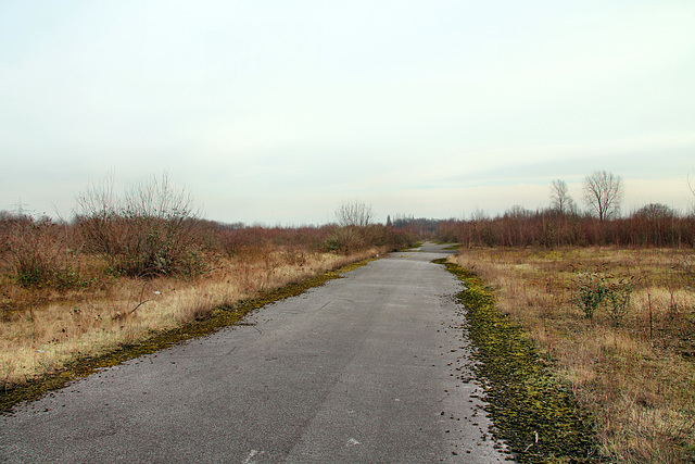 Zeche Friedrich Thyssen 2/5, ehemaliger Materialplatz (Duisburg-Marxloh) / 17.02.2018