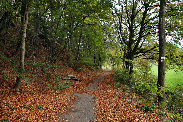 Wanderweg am Felderbach (Hattingen) / 6.11.2022