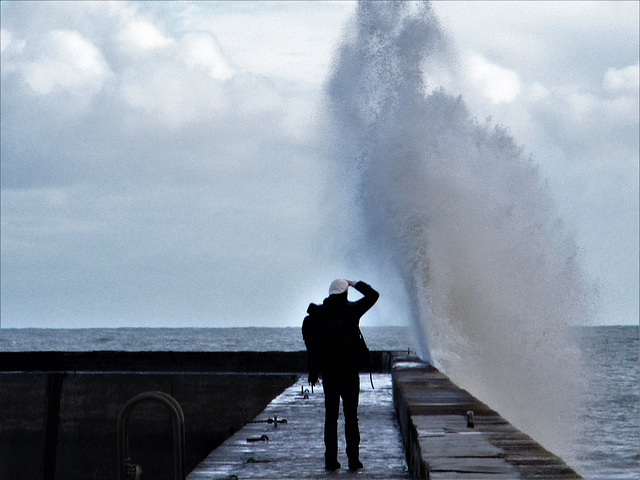 oh oh c'est haut dit le photographe de la mer