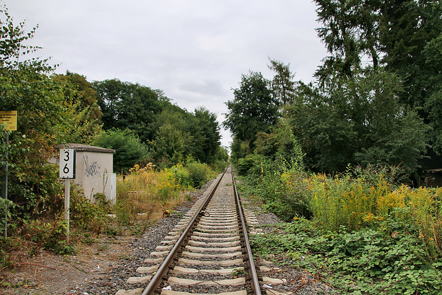 Werksbahngleis (Marl-Hüls) / 27.08.2022