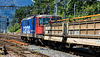 160811 Arth-Goldau Re420 cargo 0