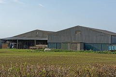Farm Buildings sRGB