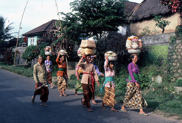 Familienfeste, Tempelfeste oder Prozessionen sind in Bali an der Tagesordnung