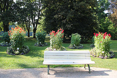 Bank im Dahliengarten