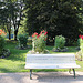 Bank im Dahliengarten