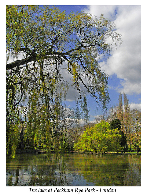 Peckham Rye Park lake - 9.4.2008