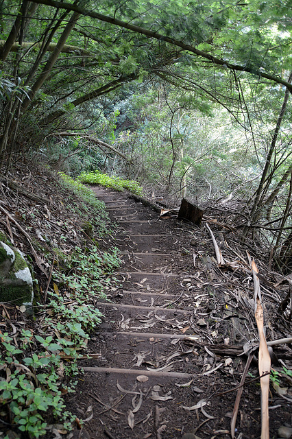 Man wird zeitweise den Eindruck nicht los, diese Levada würde aus endlosen Treppen bestehen.