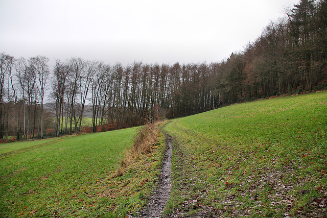 Weg am Waldrand (Hattingen-Niederstüter) / 24.12.2017