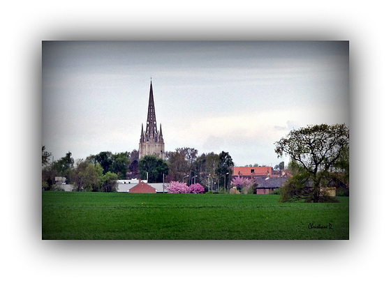 Quelque part en Flandre ***  Somewhere in Flanders