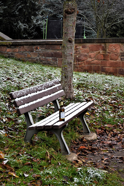 Bench, beer bottle, tree and wall at Rochlitz